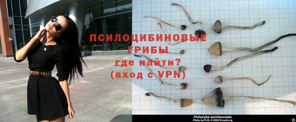 стаф Заволжье