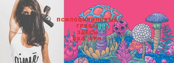 скорость Заводоуковск