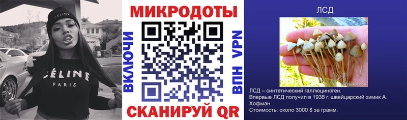 Галлюциногенные грибы мухоморы Каменск-Шахтинский