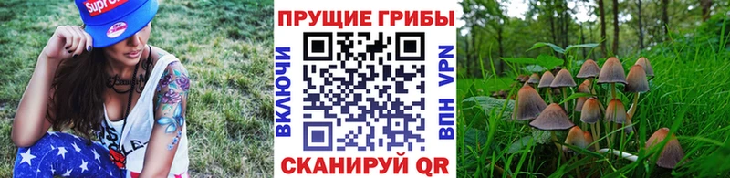 Псилоцибиновые грибы MAGIC MUSHROOMS  Каменск-Шахтинский 